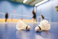 Badminton Royalty Free Stock Photo