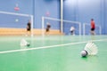 Badminton courts with players and shuttlecocks Royalty Free Stock Photo