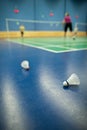 Badminton courts with players and shuttlecocks Royalty Free Stock Photo