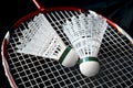 Badminton equipment Royalty Free Stock Photo