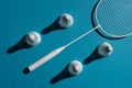 Badminton equipment Royalty Free Stock Photo