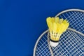Badminton feather shuttlecock on badminton racket Royalty Free Stock Photo