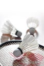 Badminton Kit Royalty Free Stock Photo