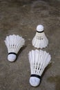 Badminton Royalty Free Stock Photo