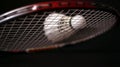 Badminton racket and feather shuttle Royalty Free Stock Photo
