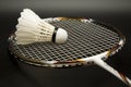 Badminton racket and shuttlecock Royalty Free Stock Photo