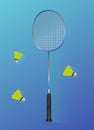 Badminton racket with shuttlecock flat modern icon Royalty Free Stock Photo