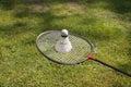 Badminton racket with a shuttlecock made from goose feathers. Green grassy playground background Royalty Free Stock Photo