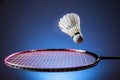 Badminton racket and shuttlecock Royalty Free Stock Photo