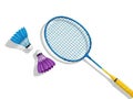 Badminton racket with shuttlecocks Royalty Free Stock Photo