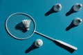 Badminton racket and shuttlecocks Royalty Free Stock Photo