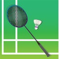 badminton racket that is usually played by professional players I vector badminton