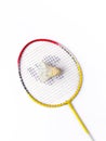Badminton racket and White Feather Shuttlecock with a colour white background stock isolated image.