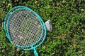 Badminton rackets and shuttle Royalty Free Stock Photo