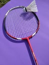 Badminton raket racket and shuttlecock balls Royalty Free Stock Photo