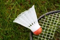 Badminton shuttlecock Royalty Free Stock Photo