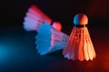 badminton shuttlecock on court in vibrant lighting decoration for competitive high performance indoors rackets sports game Royalty Free Stock Photo