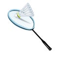 Badminton shuttlecock and racket