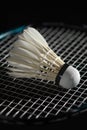 Badminton shuttlecock and racket. Goose feather shuttlecocks. High Speed Badminton Birdies. Great Stability and Durability
