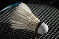 Badminton shuttlecock and racket. Goose feather shuttlecocks. High Speed Badminton Birdies. Great Stability and Durability.