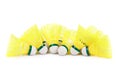 Badminton shuttlecocks Royalty Free Stock Photo