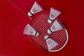 Badminton shuttlecocks and racket against a red background Royalty Free Stock Photo