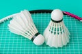 Badminton shuttlecocks and racket on green background Royalty Free Stock Photo