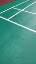 badminton sport green floor carpet Royalty Free Stock Photo