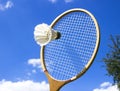 Badminton Royalty Free Stock Photo