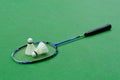 Badminton - two shuttlecocks on racket Royalty Free Stock Photo
