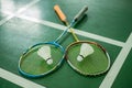 badminton Royalty Free Stock Photo