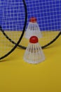 Badminton. Two shuttlecocks and two badminton racket Royalty Free Stock Photo