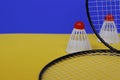 Badminton. Two shuttlecocks and two badminton racket. T Royalty Free Stock Photo