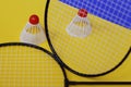 Badminton. Two shuttlecocks and two badminton racket. T Royalty Free Stock Photo