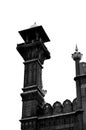 The Badshahi Mosque features a monumental gateway that faces the Hazuri Bagh quadrangle and Lahore Fort.