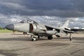BAe Sea Harrier F/A.2 ZH806 007 Royalty Free Stock Photo