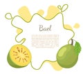 Bael Exotic Juicy Fruit Vector Aegle Poster