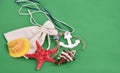 Bag, anchor, starfish on a green background