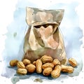A watercolor-style illustration depicts a brown paper bag surrounded by peanuts still in their shells. Royalty Free Stock Photo