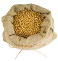 A bag of barley Royalty Free Stock Photo