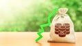 Bag with a barrel of oil and a green arrow up. Rising oil prices and stabilization of energy market. Economic recovery after Royalty Free Stock Photo