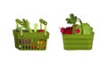 Bag and Basket Full of Fresh Vegetable from Greengrocery Vector Set