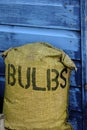 Bag of bulbs Royalty Free Stock Photo