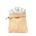 Bag of burlap with dollars isolated on white background. The concept of Finance and business. Side view