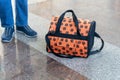 Bag for cats and a teenager& x27;s legs at the train station. Travel with an animal Royalty Free Stock Photo