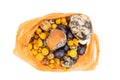 Bag contain rotten moldy fruits and vegetable for compost process Royalty Free Stock Photo