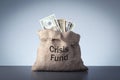 Bag with crisis fund text. Finance concept. Royalty Free Stock Photo