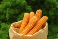 Bag of Delectable Fresh Fried Churros with Blurry Green Foliage in Background