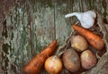 Bag of dirty potatoes, carrots, onions and garlic Royalty Free Stock Photo