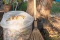 Bag of dry leaves with broom in the garden Royalty Free Stock Photo